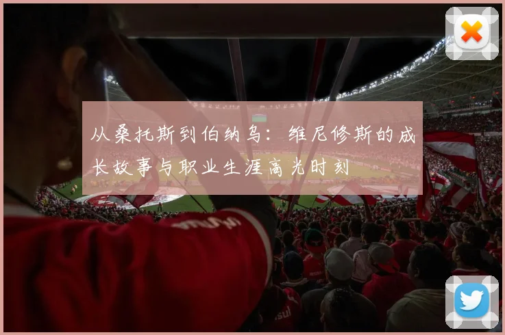 从桑托斯到伯纳乌：维尼修斯的成长故事与职业生涯高光时刻