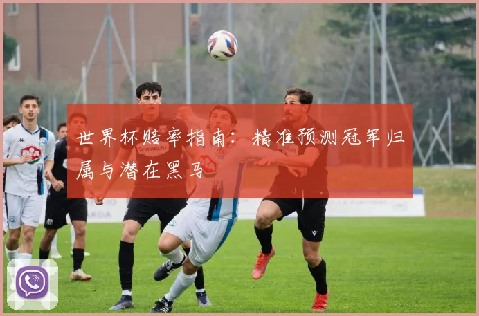 世界杯赔率指南：精准预测冠军归属与潜在黑马