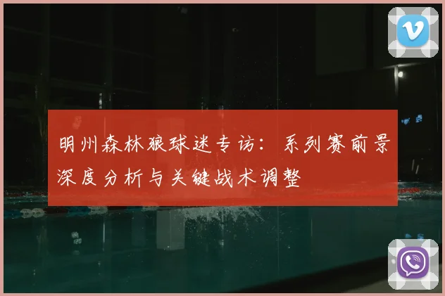 明州森林狼球迷专访：系列赛前景深度分析与关键战术调整