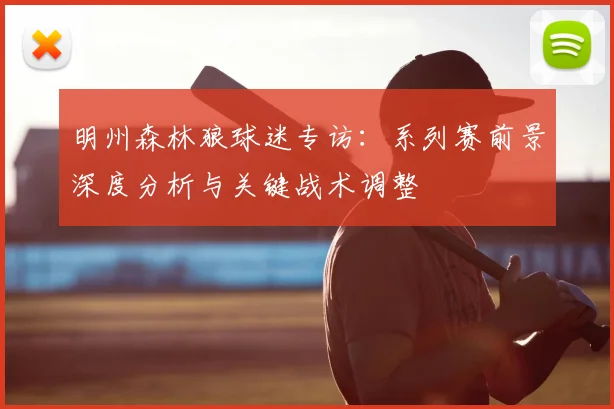 明州森林狼球迷专访：系列赛前景深度分析与关键战术调整